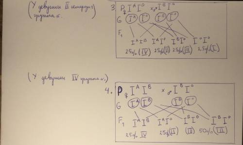 Решите задачу. Отец имеет 2 группу крови, мать - 4. Девушка вышла замуж за юношу, который имеет 3 гр
