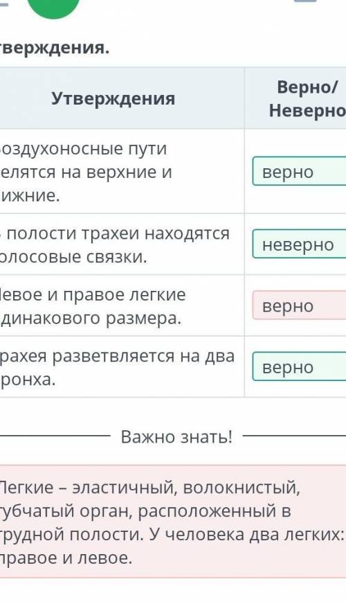 Определи верные и неверные утверждения.УтвержденияВерно/НеверноВоздухоносные путиделятся на верхние