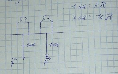 Изобразите графически силу тяжести и вес гири массой 1 кг. (Масштаб: 1 см — 5 Н Даю 25​