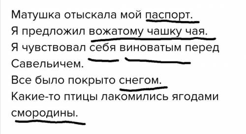 Подчеркните дополнения, укажите их вид и выражения. Матушка отыскала мой паспорт. Я предложил вожато