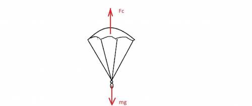 Назовите силы, которые действуют на парашютиста, во время его равномерного и прямолинейного спуска н