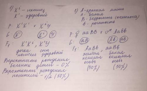 Ихтиоз (от греч. ихтиас – рыба) – рецессивное сцепленное с X-хромосомой заболевание. Какова вероятно