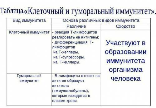 Сходство гуморального иммунитета и клеточного иммунитета