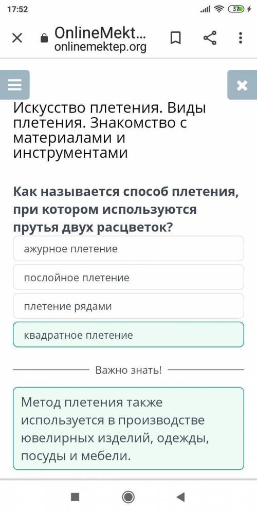 Искусство плетения. Виды плетения. Знакомство с материалами и инструментами Как называется данный пл