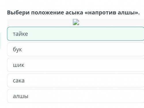 Асык. Правила и техника игры. Выбери положение асыка напротив алшы. тайке сака бук алшы шик