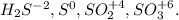 H_{2} S^{-2} , S^{0}, SO_{2} ^{+4}, SO_{3} ^{+6}.