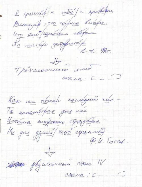 Определите стихотворный размер, полностью расписав ударные и безударные слоги во всем четверостишии