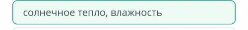 Какие факторы оказывают наибольшее влияние на образование природных зон. солнечное тепло, влажность