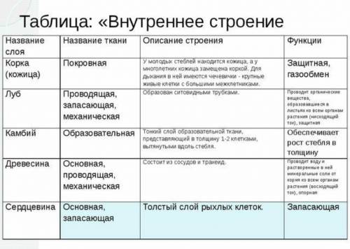 заполнить: особеность строение, и функции