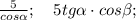 \frac{5}{cos \alpha}; \quad 5tg \alpha \cdot cos \beta;