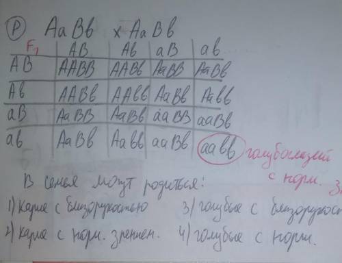 Единственный ребенок близоруких кареглазых родителей имеет голубые глаза и нормальное зрение. Опреде