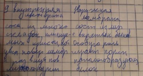 1.     Сравните наружную и внутреннюю мембраны митохондрий по особенностям строения Наружная мембран