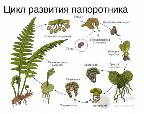 очень сделайте 2,,4 задания. которые есть. очень