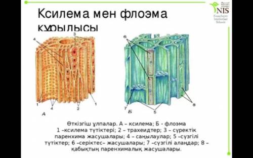 Керек болыптур отыныш комек дай те если зделали поставлю 5звзд и лайкну​