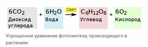 1. Что называют тепловым эффектом реакции? В каких единицах он выражается? 2. Приведите примеры прев