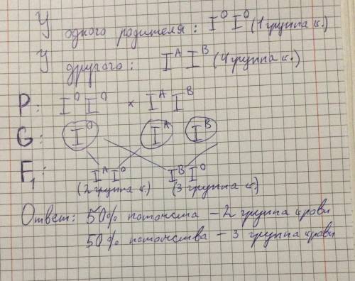 Какие группы крови могут быть у детей, если у одного из родителей первая группа крови, а у другого ч
