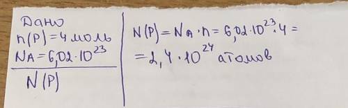 Обчисліть кількість атомів Фосфору які містяться у 4 моль фосфору​