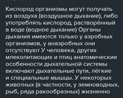 9.Рассмотрите дыхательную систему органов человека. динамнинаответые, как строение и уныни шара мы в