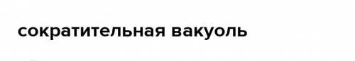 Что обозначено на рисунке числом 11?