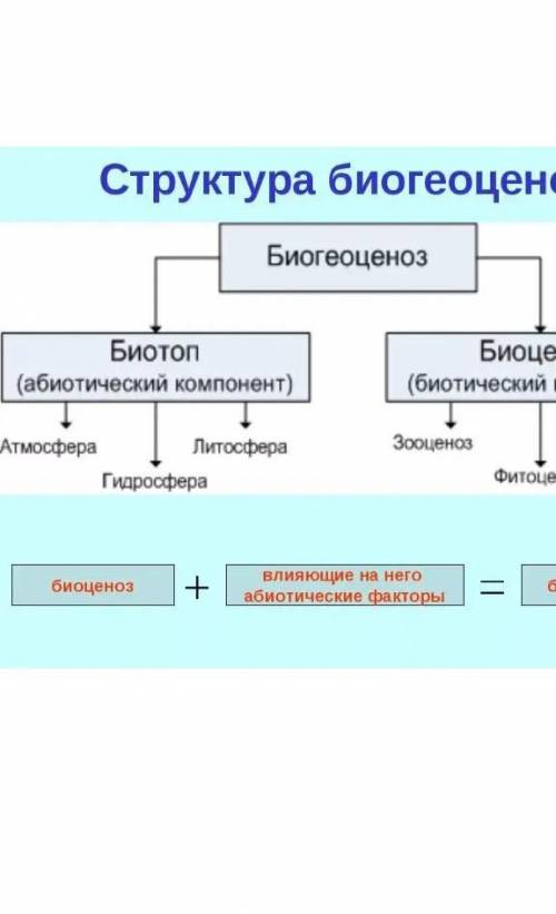 Строение и свойства биогеоценоза не могу кратко описать.