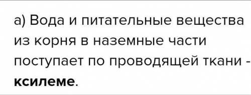 ответить на два вопроса а внутренем стебле. Уже 0:20 спать ппц как хочется лучшим ответом сделаю