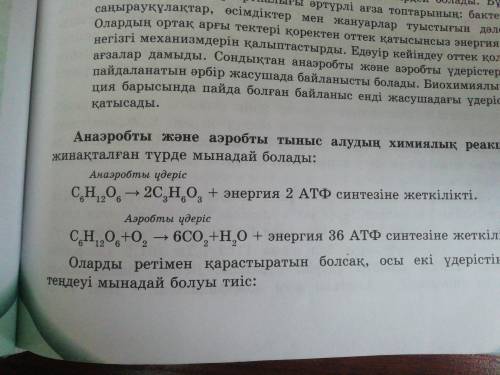 Напишите химические уравнения респираторной реакции. Тыныс алу реакциясының химиялық теңдеулерін жаз