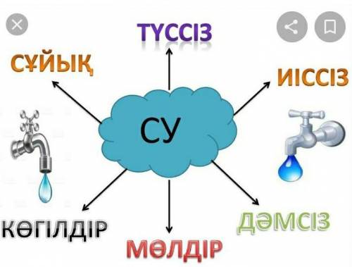 Су туралы мәліметтерді жинақтай отырып су тіршілік көзі тақырыбына диаграмма жаса быстрей​