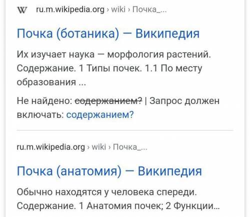 На какие виды делятся почки в соответствии с содержанием?