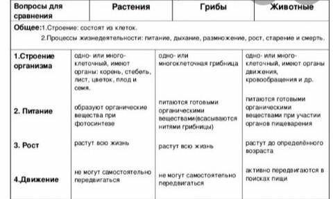 Строение питание рост движение общие растения животных и бактерии таблица​