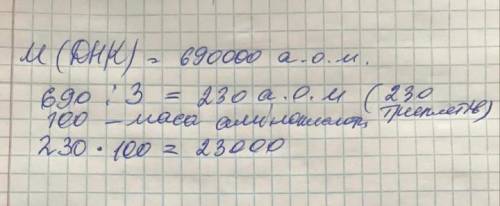 Маса днк 690 тис. атомних одиниць маси. вкажіть масу білка що закодовано ТЬ ​