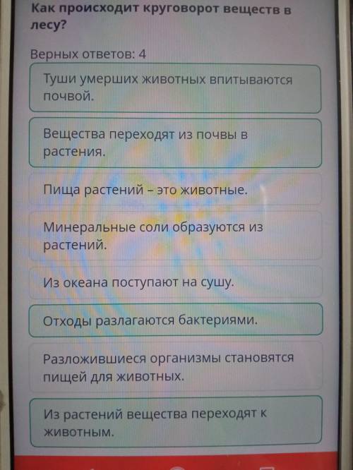 Как происходит круговорот веществ в лесу