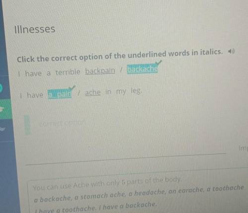 Click the correct option of the underlined words in italics. I have a terrible backpain / backacheI