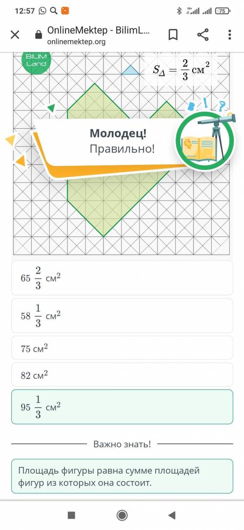 Площадь синего треугольника ⅔ см². Найдите площадь фигуры. 65⅔ см², 75 см², 82 см², 95⅓ см², 58⅓ см²