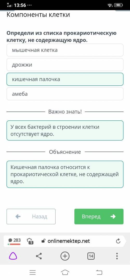 Определи из списка прокариотическую клетку, не содержащую ядро. Мышечная клеткадрожжиамебакишечная П