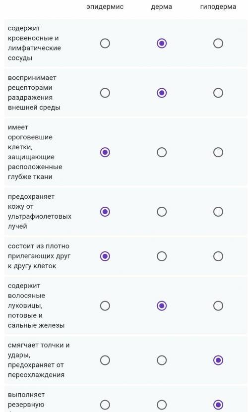 Установите соответствие между характеристикой слоя кожи и его названием.  эпидермис: дерма: гиподерм