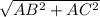 \sqrt{AB^{2} + AC^{2} }