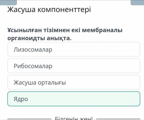 Жасуша компоненттері Ұсынылған тізімнен екі мембраналы органоидты анықта.ЛизосомаларРибосомаларЯдроЖ