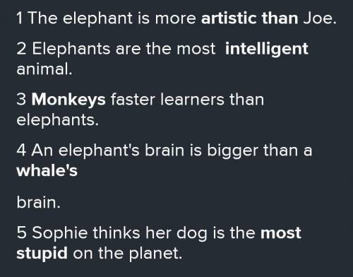 2.19 Listen again and complete the sentences with one or two words.1 The elephant is more Joe.2 Elep