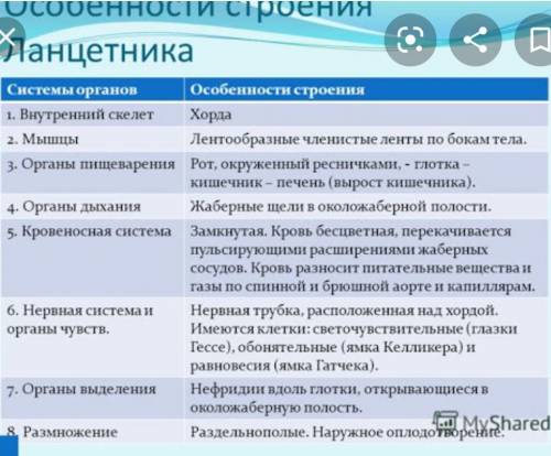 Особенности строения ланцетника таблица