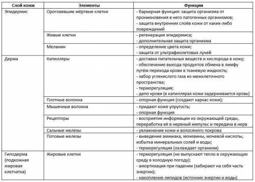 1. Тер бездерінің рөлін бағалаңдар. 2. Жетіспейтін элементтерді жазып, кестені толтырыңдар .Үдерісті