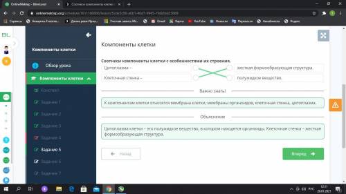 Соотнеси компоненты клетки с особенностями их строения. Цитоплазмажесткаяформообразующаяструктура.Кл