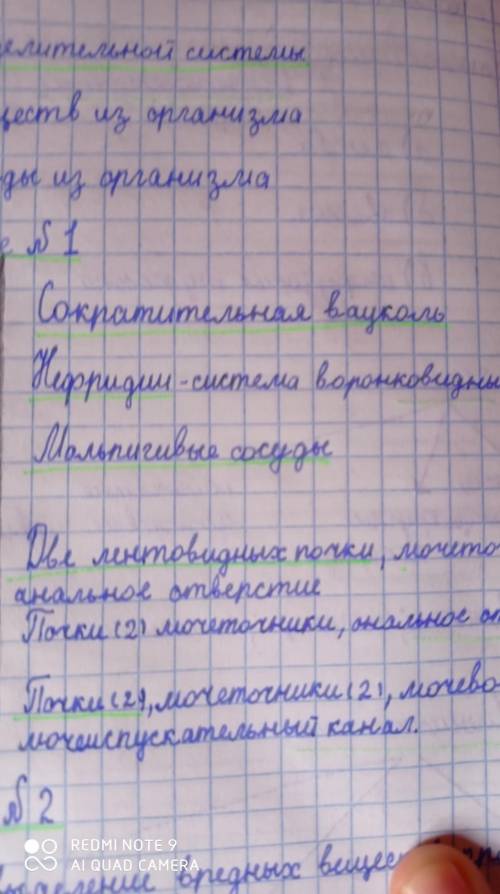 Заполните таблицу «Сравнение строения выделительной системы» Особенности строения выделительной сист