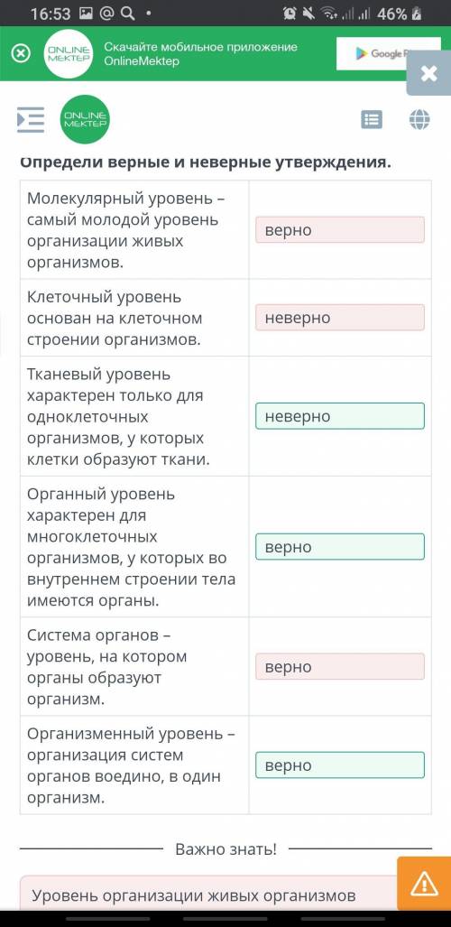 Уровни организации живых организмов Определи верные и неверные утверждения.Молекулярный уровень - са