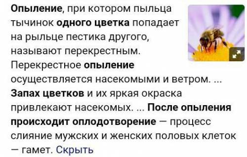 1) Где завязываются семена растения?2) Что происходит в цветках при опылении и при оплодотворении?3)