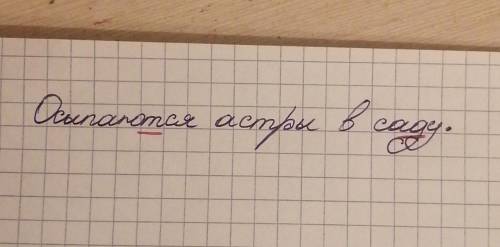 Осыпаются астры в саду. Подчеркнуть парные по глухости и звонкости согласные