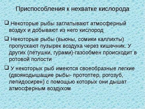 Как поступает рыба в тех случаях когда им недостаточно кислорода растворенного в воде Какие рыбы счи