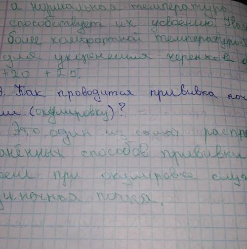 Как происходит размножение черенками винограда инжира граната лоха и тополя нужно​