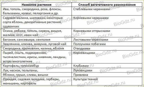 ￼￼￼ Таблица вегетативное размножение￼ черенками, ползучими побегами, отводками, прививкой, видоизмен