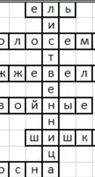 Составите кросфорт с ответами. Голосеменные 7 класс. Очень