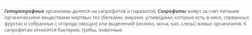 На какие группы делятся гетеротрофы? нужно это естествознание